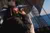 Thumbs/tn_pirates_caribbean07.jpg